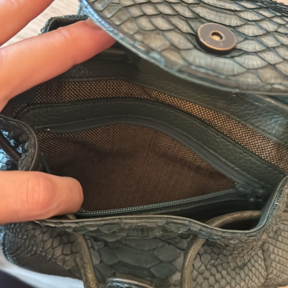 Real Python Snake 100% Almost New - image 5